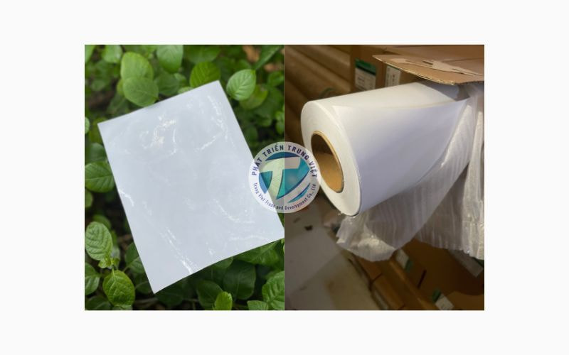 Mua decal dán kính trong suốt giá sỉ tại Phát Triển Trung Việt 